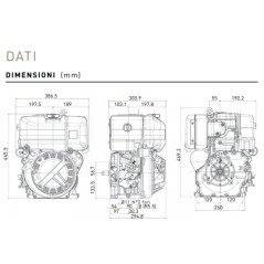 LOMBARDINI motor diesel 15LD350 4 tiempos motor cultivador TWIST9DS 02010623 | Newgardenstore.eu