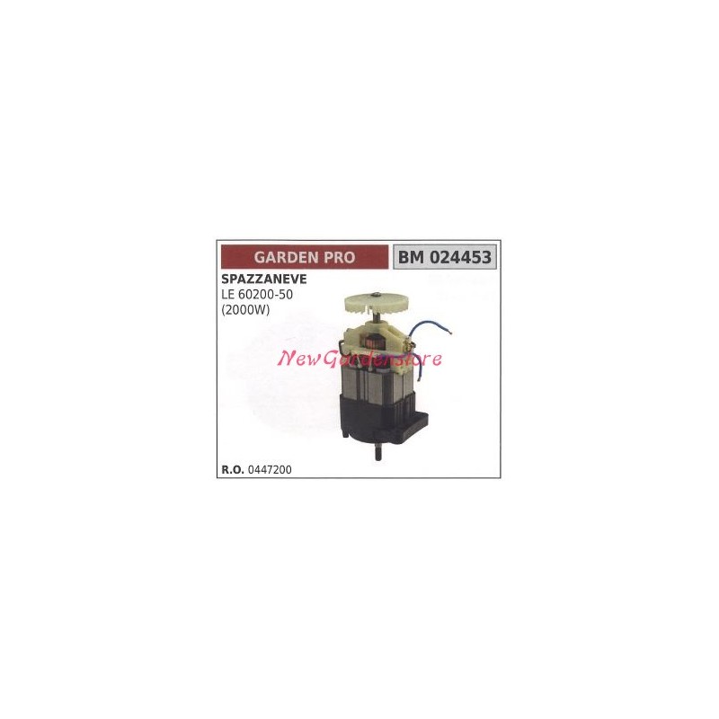 GARDEN PRO Elektromotor für Schneefräse LE 60200-50 2000W 024453 0447200