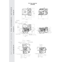 KOHLER moteur COMPLET CH395 moteur conique 23 mm motoculteur 9.5 HP | Newgardenstore.eu