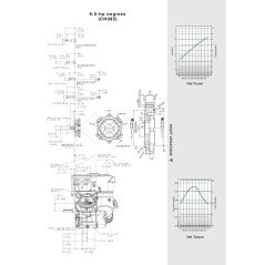 KOHLER Motor COMPLETE CH395 konisch 23 mm Motorgrubber 9,5 PS | Newgardenstore.eu