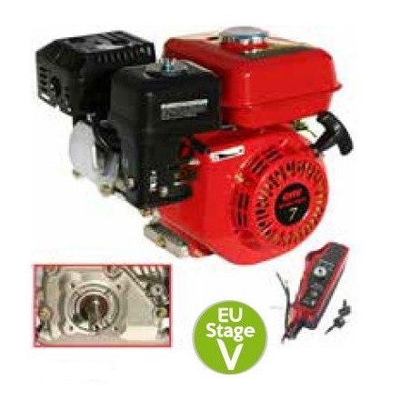 LAUNTOP engine complete petrol horizontal cylindrical shaft 19x60 208cc | Newgardenstore.eu