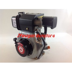 Moteur ZANETTI DIESEL ZDM70C1ME pour tracteur à pied avec démarrage électrique | Newgardenstore.eu