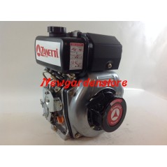 ZANETTI DIESEL ZDM70C1ME walking tractor engine with electric start | Newgardenstore.eu