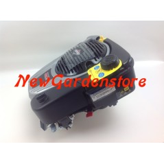 Motore rasaerba completo BRIGGS & STRATTON 850 volano pesante 25 x 80 completo | Newgardenstore.eu