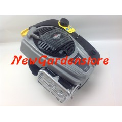 Motore rasaerba completo BRIGGS & STRATTON 850 volano pesante 25 x 80 completo | Newgardenstore.eu