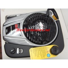 Motore rasaerba completo BRIGGS & STRATTON 850 volano pesante 25 x 80 completo | Newgardenstore.eu