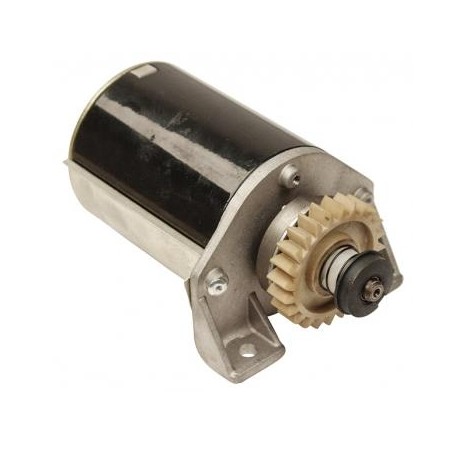 Electric starter motor compatible with BRIGGS&STRATTON engine | Newgardenstore.eu