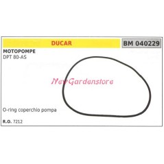 O-ring coperchio pompa DUCAR motopompa DPT 80-AS 040229