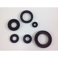 Oil seal 25.4x38.2x7.3 ROBIN motor cultivator EY20 code 009626 | Newgardenstore.eu