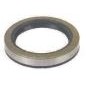 Joint d'huile compatible DOLMAR SACHS MAKITA tronçonneuse 123 133 17x30x6mm 962900048