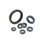 Oil seal on flywheel side blower EBV260-3E hedge trimmer SLP600-E KASEI 1E36F-3E.11