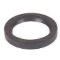 Motor oil seal DAYE lawn mower DG 450 (135 cc OHV) 22x35x7 mm