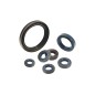 Power take-off oil seal for lawn tractor mower BRIGGS&STRATTON 393812