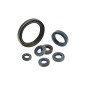 Oil seal for lawn tractor mower H650 LT200 NGP H1-2D-100-000