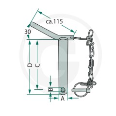 Perno per braccio inferiore di sollevamento con catena e coppiglia 20012851 | Newgardenstore.eu