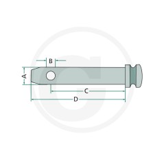 Drehzapfen für Unterlenker für UNIVERSAL-Traktoren 20012790 | Newgardenstore.eu