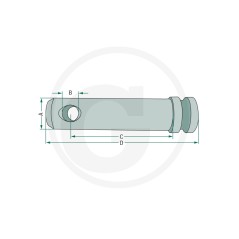 Drehzapfen für untere Hubschwinge für Traktoren UNIVERSAL 20099033 | Newgardenstore.eu