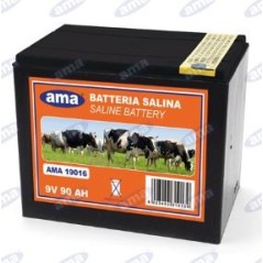 Batería de zinc-carbón para cercados eléctricos 9V 55Ah 19017 | Newgardenstore.eu