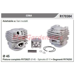 CINA piston cylindrique divers modèles R170384 | Newgardenstore.eu