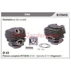 CINA piston cylindrique divers modèles R170415 | Newgardenstore.eu
