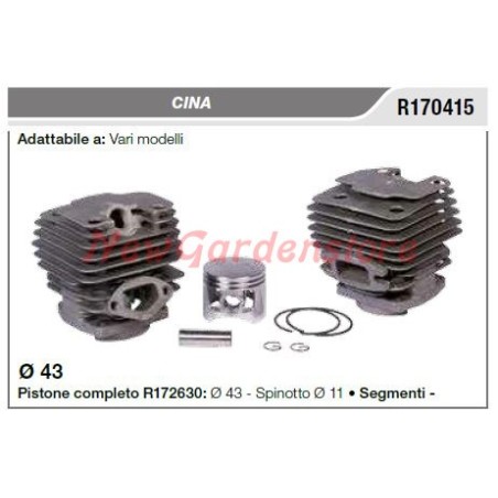 CINA cylinder piston various models R170415 | Newgardenstore.eu