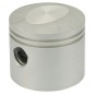 TJ53E brushcutter engine piston Ø  44 mm KAWASAKI 13001-0756