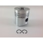 Segments de tige de piston + 1.00 101 mm moteur DIESEL LOMBARDINI LDA100 4LD705 130048P