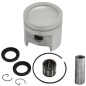 HUSQVARNA T22LS T22LCS segments de piston de moteur de débroussailleuse Ø  32 mm 510223604