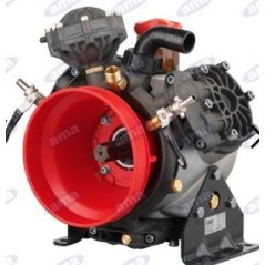 3 diaphragm pump BHA150 C/C for spraying 88942 | Newgardenstore.eu