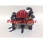 Diaphragm pump M 30 C 6 IMOVILLI medium-high pressure 33 l/1'-30 bar -550 rpm