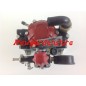 Diaphragm pump MINI C 11 IMOVILLI low pressure 23 L/1' -25 bar-700 rpm