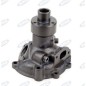 Water pump for agricultural tractor LAVERDA 41313045 10159TOP