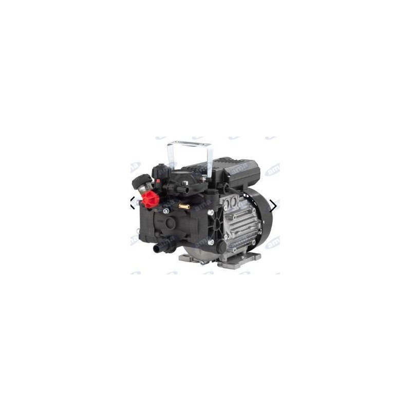 AR 202 EM pump with electric motor for spraying 88946