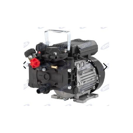 AR 202 EM pump with electric motor for spraying 88946 | Newgardenstore.eu