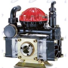 AR 50 SP 2 diaphragm pump for spraying 34170 | Newgardenstore.eu