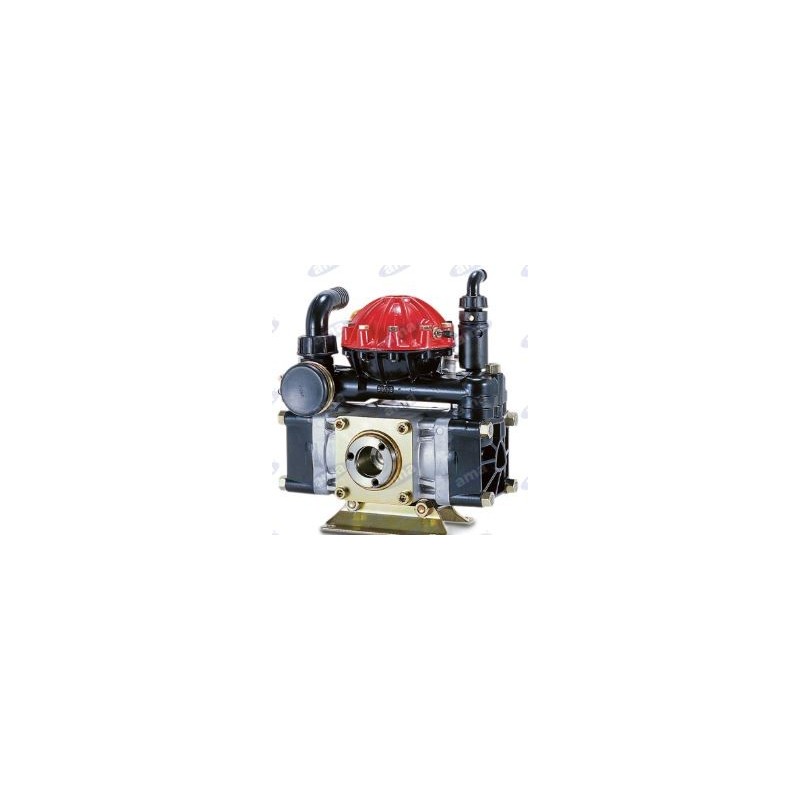 AR 50 SP 2 diaphragm pump for spraying 34170