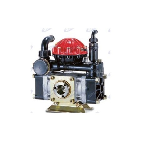 AR 50 SP 2 diaphragm pump for spraying 34170 | Newgardenstore.eu