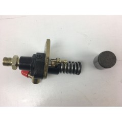 Pompe d'injection moteur cultivateur LAUNTOP LA186 - LA188