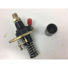 Pompe d'injection moteur cultivateur LAUNTOP LA186 - LA188 | Newgardenstore.eu