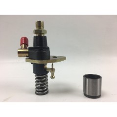 Pompe d'injection moteur cultivateur LAUNTOP LA186 - LA188 | Newgardenstore.eu