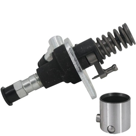 Einspritzpumpe für Rasentraktor-Motor LONCIN D460FC | Newgardenstore.eu
