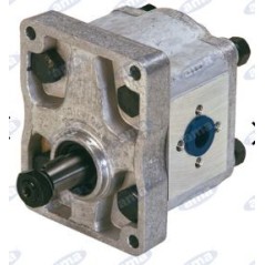Hydraulic pump group 2 type A25X AMA 04407 | Newgardenstore.eu