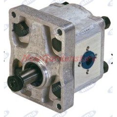 Hydraulic pump group 2 type A42X AMA 04413 | Newgardenstore.eu