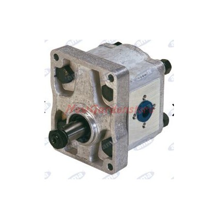 Hydraulic pump group 2 type A42X AMA 04413 | Newgardenstore.eu