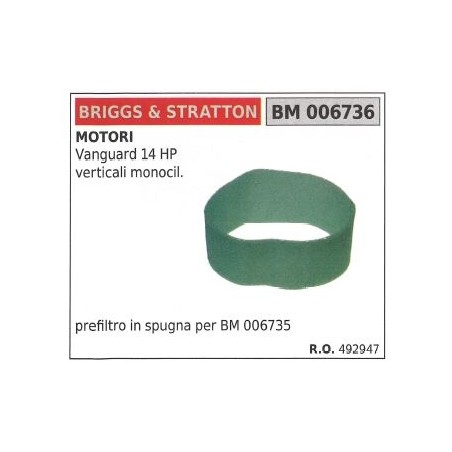 BRIGGS&STRATTON filtro aire cortacésped cortacésped vanguard 14HP | Newgardenstore.eu