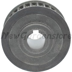 Pulley blade shaft 28 teeth compatible CASTELGARDEN 31270020 125601562/0 | Newgardenstore.eu