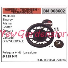 ASPERA starting pulley for SINERGY Prism lawnmower motor 008602 | Newgardenstore.eu