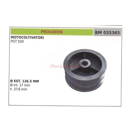 Polea para motocultor PTG 500 PROGREEN 035365 | Newgardenstore.eu