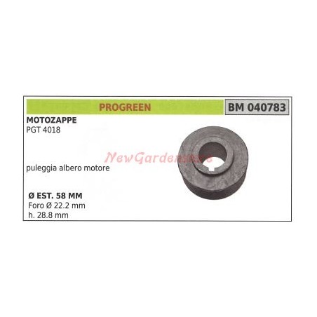 Polea para motocultor PGT 4018 PROGREEN 040783 | Newgardenstore.eu