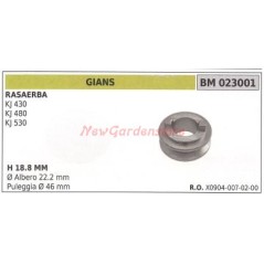 Lawnmower pulley for lawn mower KJ430 480 530 GIANS 023001 | Newgardenstore.eu